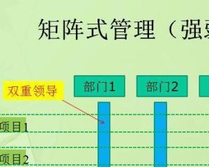 矩阵管理 双线并行的协作与博弈